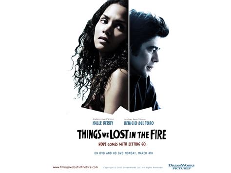 Things We Lost in the Fire - Benicio del Toro Wallpaper (1704511) - Fanpop