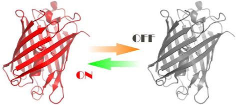 Protein Drawing | Free download on ClipArtMag