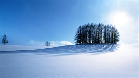 Winter Scenery Wallpapers | HD Wallpapers | ID #10873