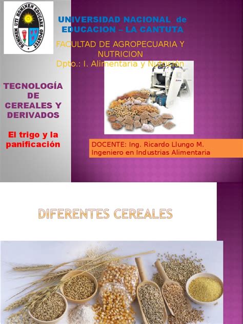 El Trigo y La Panificacion | PDF | Trigo | Panes