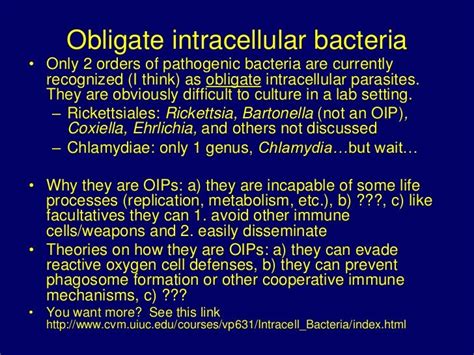 MDL 237 - Miscellaneous obligate intracellular bacteria