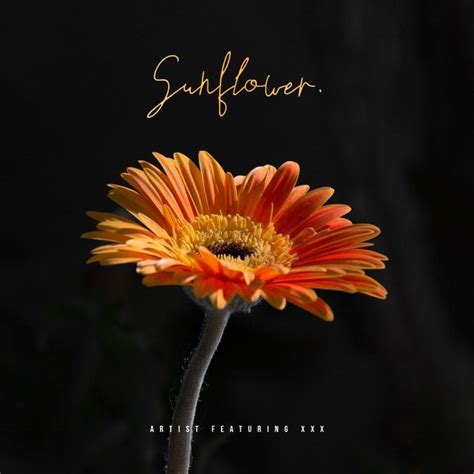 Sunflower Minimal Album Cover | Album covers, Album cover design, Custom album covers