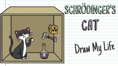 SCHRÖDINGER'S CAT | Draw My Life - YouTube