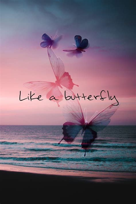 Butterfly Quotes Wallpapers - Top Free Butterfly Quotes Backgrounds - WallpaperAccess