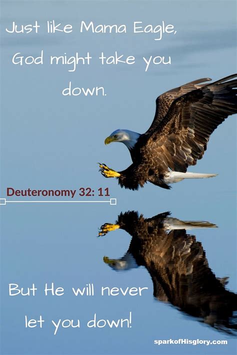 He will carry you on eagles wings. - Spark of His Glory