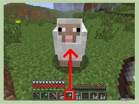 Can you shear sheep in Minecraft? - Rankiing Wiki : Facts, Films, Séries, Animes Streaming ...