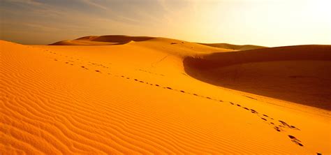 Desert Oasis - meditation for deep recharge | Meditainment