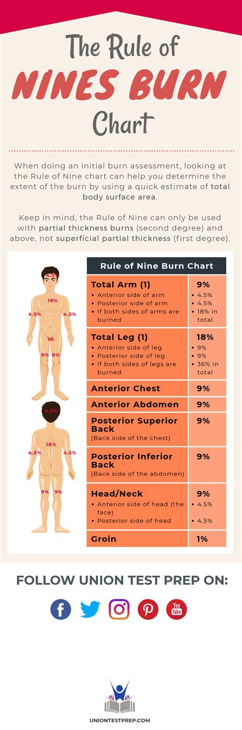 Burns in adults the rule of nine chart – Artofit