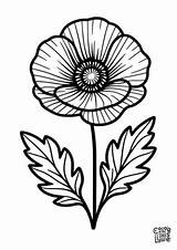 Simple poppy coloring Sheet For Kids  Color This Life sketch template
