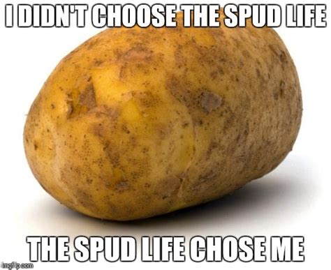 50+ Funny Potato Memes That Are Guaranteed To Make Your Day