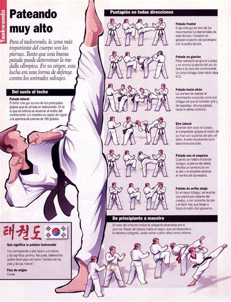 Taekwondo | Técnicas de artes marciales, Tecnicas de taekwondo, Entrenamiento de las artes marciales