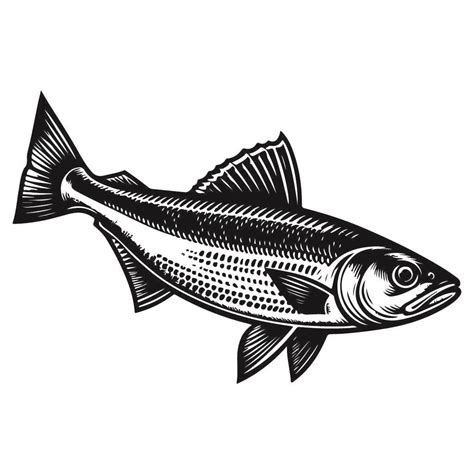 Free Hickory Shad Fish SVG Black And White SVG Vector File For Laser ...