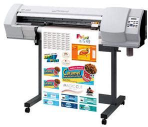 Buy Vinyl Printing Machine from Ensign Print Solutions India Pvt. Ltd ...