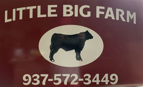 Little Big Farm