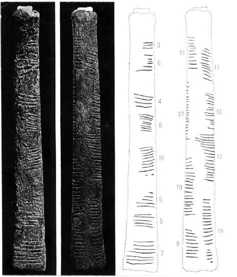 SOCIETY OF AFRICAN EARTH SCIENTISTS : THE ISHANGO BONE: THE WORLD'S FIRST KNOWN MATHEMATICAL ...