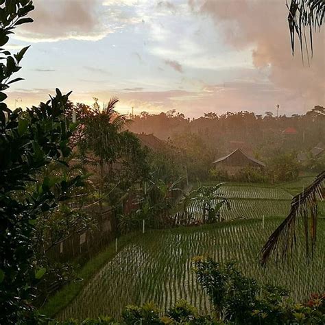 Sunset rain in Ubud. #Bali | Ubud, Outdoor, Bali