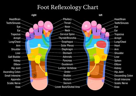 Pin on Reflexology