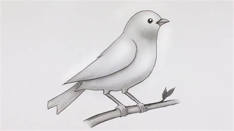 Simple Bird Drawing | Easy Pencil Sketch and Shading #drawing | Simple ...