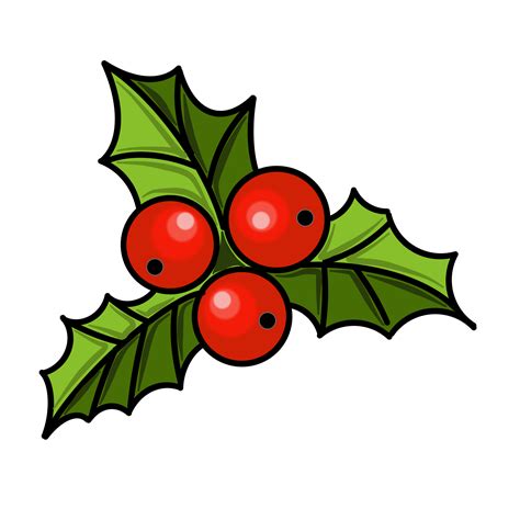 Holly leaves are green with red berries. PNG illustration with ...