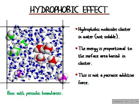 Hydrophobic_Effect