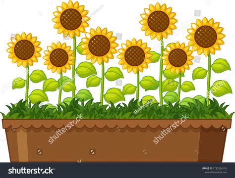 Flower pot clipart : 11 808 images, photos et images vectorielles de stock | Shutterstock