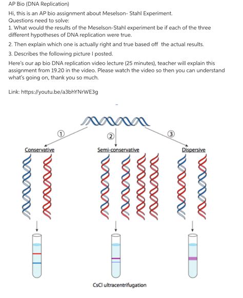 Meselson And Stahl Dispersive