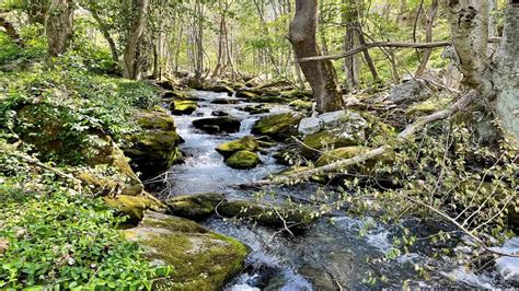 15 Best Hikes Near Blacksburg, Virginia