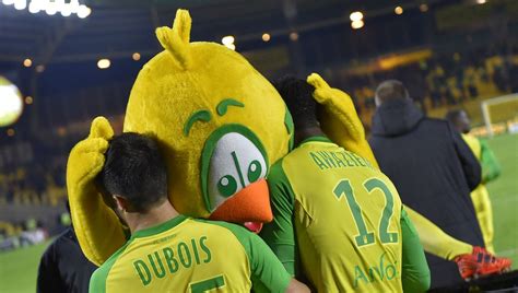 FC Nantes : les "Canaris", un surnom iconique aux origines incertaines ...