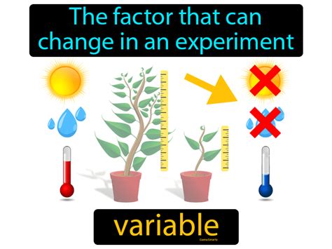 Variable Definition - Easy to Understand