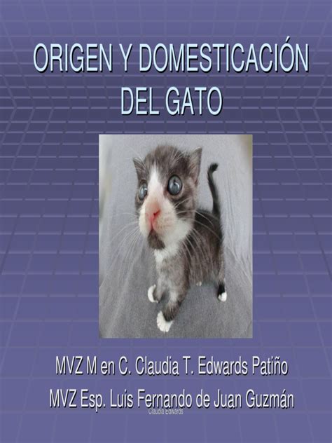 Origen Del Gato | PDF