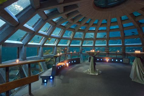 Underwater Dome at the Seattle Aquarium : r/pics