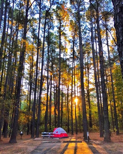 Happy Texas Tuesday y'all! From Atlanta State Park in Atlanta TX. Fab ...