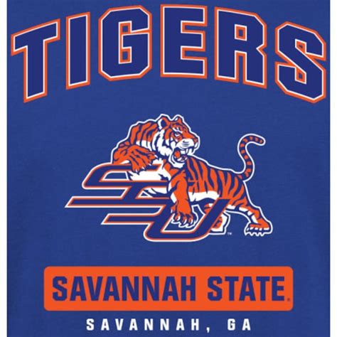 Savannah State Tigers Campus Icon T-Shirt - Royal - Fanatics.com