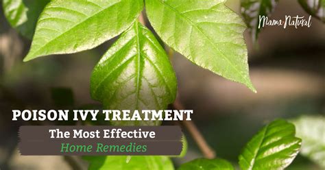 Poison Ivy Treatment: All-Natural Home Remedies - Mama Natural