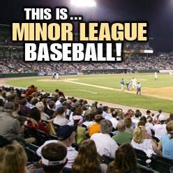 Official Website Of The Sugar Land Skeeters Minor League Baseball Team | Minor league baseball ...