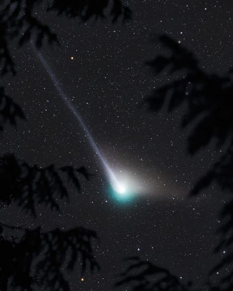 Vancouver photographer captures stunning shot of a rare green comet | News