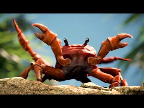 View 23 Spider Crab Meme Template - hachynewall