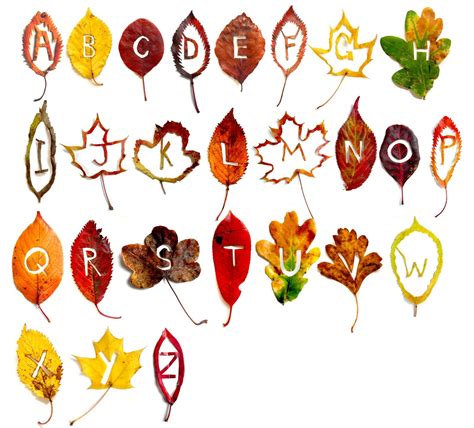 Printable Fall Letters - Printable Word Searches