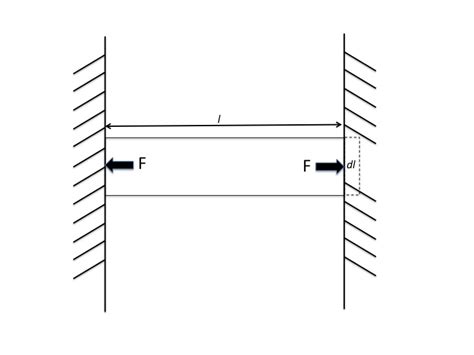 How would one derive the equation of thermal stress? ~ Physics ~ AnswerBun.com