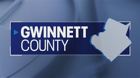 Gwinnett County Election 2024 - Betti Chelsea