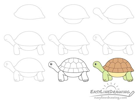 Easy Turtle Drawing Step By Step