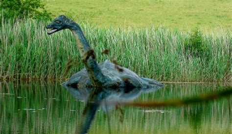 The Real Loch Ness Monster | Stanley Zimny (Thank You for 63 Million views) | Flickr