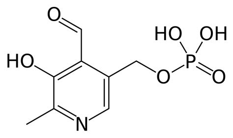 Vitamin B6 (Pyridoxal 5 Phosphate) – Custom Formulation Supplement ...