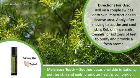 Top 3 Benefits Of doTERRA Melaleuca Touch