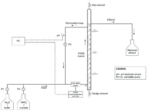 Experimental setup. | Download Scientific Diagram