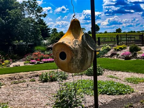 Purple Martin Nesting Boxes are an Amish Tradition | Visit Shipshewana