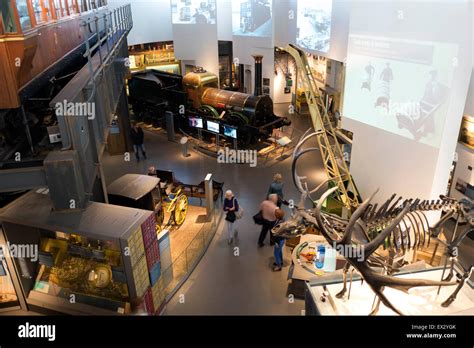 World Museum Liverpool UK Interior Stock Photo - Alamy