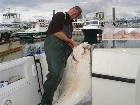 Lake Dillon Fishing Report | Colorado Fisherman Forum