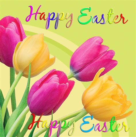 Happy Easter Tulips Pictures, Photos, and Images for Facebook, Tumblr, Pinterest, and Twitter