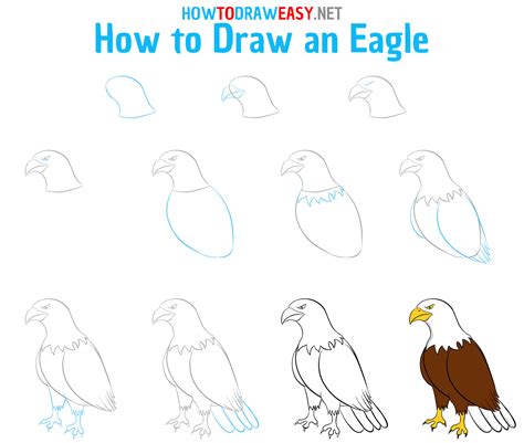 How To Draw Eagles Step By - Religionisland Doralutz